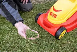 Qualit&auml;tskriterien: Mit einem guten Rasenm&auml;her werden die Halme gleichm&auml;&szlig;ig und

sauber abgeschnitten. Grasreste bleiben nicht liegen, sondern landen im Fangkorb. - &copy; Stiftung Warentest/dpa-tmn