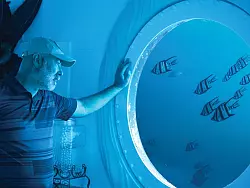 Durch die Bullaugenfenster beobachtete Koch das Meer. - &copy; ---/Ocean Builders/dpa