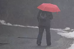 Jeder dritte Mann und jede fünfte Frau verschweigen ihre Einsamkeit. (Illustration) - © Sebastian Kahnert/dpa