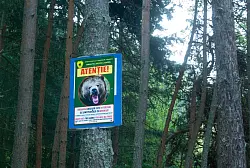 Dutzende Schilder am Rand der Bergstraße Transfagarasan in den rumänischen Karpaten drohen strenge Strafen an für Menschen, die Bären füttern. - © Kathrin Lauer/dpa