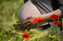 Schwangere sollten Medikamente nach Angaben des Berufsverbands der Frauen&auml;rzte grunds&auml;tzlich nur nach &auml;rztlichem Rat nehmen. (Symbolbild) - &copy; Patrick Pleul/dpa