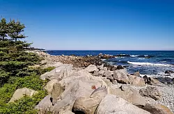 Atlantikstrand in Whitepoint. Im Osten grenzt Nova Scotia an den Atlantik im Westen an die Bay of Fundy. - © Geraldine Friedrich/dpa-tmn