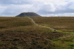 Einsam hebt sich der Knocknarea am Horizont: Der Monolith beherbergt ein altes Steingrab, in dem der Legende nach die Kriegerkönigin Maeve begraben ist. - © Daniela David/dpa-tmn