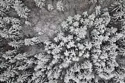 Das neue Jahr beginnt mit Neuschnee und Gl&auml;tte auf den Stra&szlig;en in NRW. - &copy; Federico Gambarini/dpa