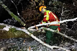 Ein Helfer zersägt in der Nähe von Bessenbach im unterfränkischen Landkreis Aschaffenburg einen Baum, der nach starkem Schneefall umgestürzt ist. - © Ralf Hettler/dpa