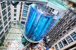 Das &laquo;gr&ouml;&szlig;te freistehende zylindrische Aquarium der Welt&raquo;: Es ist im Jahr 2020 umfassend modernisiert worden. - &copy; Annette Riedl/dpa/Archiv