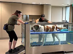 Im &laquo;Barryland&raquo; k&ouml;nnen Besucher die t&auml;gliche Pflege der Hunde live miterleben. - &copy; Christiane Oelrich/dpa