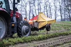 Dieser Landwirt im Münsterland hat keine witterungsbedingen Probleme bei der Karottenernte. - © Guido Kirchner/dpa