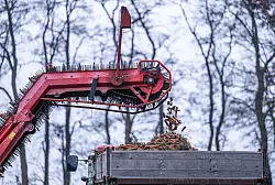 Auf einen Anhänger landen die gerade frisch geernteten Karotten. - © Guido Kirchner/dpa