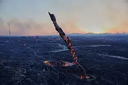 &Uuml;brig bleibt nach den verheerenden Br&auml;nden oft nur verkohlte W&uuml;ste. - &copy; Yorgos Karahalis/AP/dpa