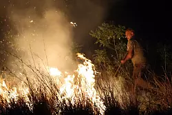 Umweltschutzorganisation: Sizilien war in diesem Jahr stark von Br&auml;nden betroffen. - &copy; Alberto Lo Bianco/IPA via ZUMA Press/dpa