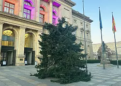 Doch nun ist klar: Das wird keine Dauerl&ouml;sung. - &copy; Stefan Kruse/dpa