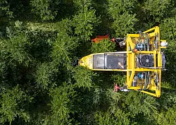 Mit seinem Baumschultraktor fährt Robert Kleinstäuber vom Weihnachtsbaumhandel «een Baum aus Sachsen» durch eine Plantage mit Nordmanntannen. - © Robert Michael/dpa