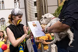 Das Museum widmet den Comic-Helden des französischen Zeichners Albert Uderzo noch bis zum 15. Juni eine Sonderausstellung. - © Carsten Koall/dpa