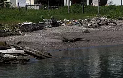 Krokodile findet man in Indonesien mittlerweile häufig in der Nähe von menschlichen Siedlungen. - © Muhammad Taufan/dpa