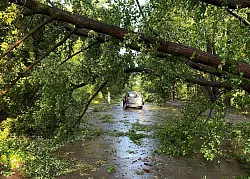 Die Berliner Feuerwehr war im Dauereinsatz. - © Jens Dudziak/dpa
