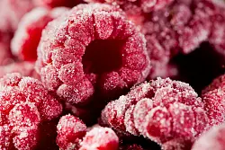 Tiefgekühlte Beeren sind um einiges günstiger als gefriergetrocknete oder frische Ware. - © Franziska Gabbert/dpa-tmn