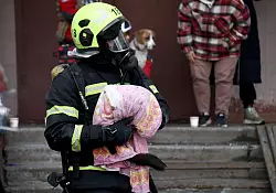 Ein Feuerwehrmann rettet in Kiew ein Tier nach einem russischen Angriff. - &copy; -/ukrin/dpa