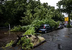 Umgest&uuml;rzter Baum auf einem Auto im niederl&auml;ndischen Haarlem. - &copy; Remko De Waal/ANP/dpa