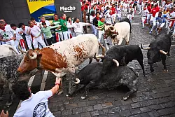 Auch dieses Jahr protestierten Tierschutzgruppen gegen die traditionsreiche Veranstaltung. - &copy; Miguel Oses/AP/dpa