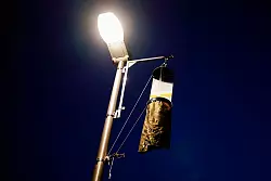 Mit solchen Fallen haben die Forschenden die Insekten eingefangen. (Archivbild) - © Uwe Anspach/dpa