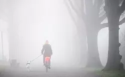 Der Montag startet oftmals bew&ouml;lkt oder neblig tr&uuml;b - aber vielerorts ist in den n&auml;chsten Tagen Besserung in Sicht. - &copy; Julian Stratenschulte/dpa