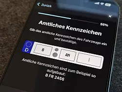 Kennzeichen eintragen, Ausweis scannen - und man kann den Fahrzeugschein herunterladen. - © Till Simon Nagel/dpa-tmn