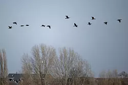 In Nordrhein-Westfalen bleibt es in den kommenden Tagen frisch. (Symbolbild) - © Henning Kaiser/dpa
