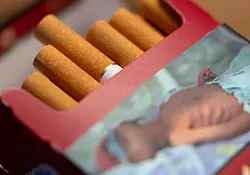 In vielen L&auml;ndern ist der Tabakkonsum der gr&ouml;&szlig;te Krebs-Risikofaktor, der verhindert werden kann. (Archivbild) - &copy; Sven Hoppe/dpa