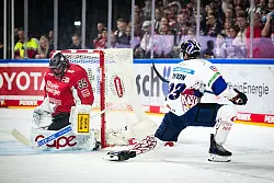 Den Eisbären Berlin fehlt nur noch ein Sieg zum Titel - © Marius Becker/dpa