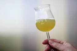 Süffig und spritzig - bald wird wieder Federweißer getrunken. (Archivbild) - © Fredrik von Erichsen/dpa/dpa-tmn