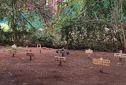 Viele Kinder, die sich etwa bei ihrer Geburt oder beim Stillen infiziert haben, erhalten keine Medikamente. (Archivbild) - &copy; Cara Anna/AP