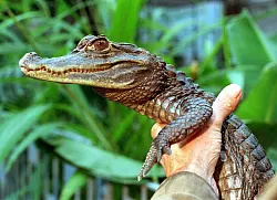 - &copy; Wolfgang Thieme/dpa