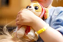 Stoffhund von PAW Patrol. In Spielzeuggesch&auml;ften hat man oft die Qual der Wahl. - &copy; Gerald Matzka/dpa