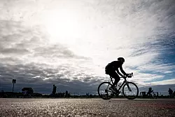 Für Rennräder werden oft hohe Preise bezahlt. (Archivbild) - © Fabian Sommer/dpa