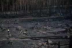 Auf der Saalfelder Höhe in Thüringen konnten die Einsatzkräfte über Nacht eine Ausbreitung verhindern. - © Daniel Vogl/dpa
