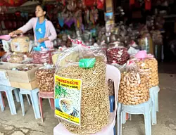 Insekten sind eine gute Proteinquelle. (Archivbild) - &copy; Carola Frentzen/dpa