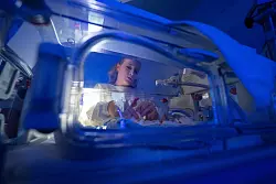 Fr&uuml;hchen brauchen es warm. - &copy; Boris Roessler/dpa