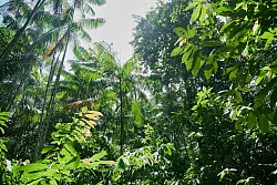 Unter Pr&auml;sident Lula gibt es Fortschritte - aber dennoch viel Zerst&ouml;rung. (Archivbild) - &copy; Annette Riedl/dpa