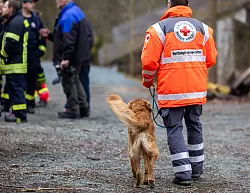 Bei der Suche nach einem vermissten sechsjährigen Jungen in Weilburg kommen auch Rettungshunde zum Einsatz. - © Christian Lademann/dpa