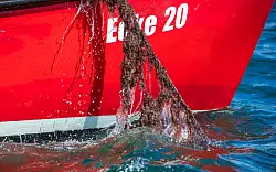 Jedes Jahr landet eine unbekannte Menge an Fischernetzen im Meer. Mit K&uuml;nstlicher Intelligenz sollen sie besser aufgesp&uuml;rt werden. (Archivbild) - &copy; Jens B&uuml;ttner/dpa-Zentralbild/dpa