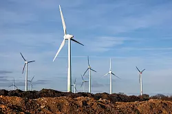 Deutschland baut die Windkraft aus. - © Jan Woitas/dpa