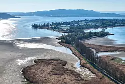 Sieht ungewöhnlich aus: Der Wasserstand des Bodensees ist auf einem niedrigen Stand. - © Felix Kästle/dpa