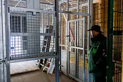 So sah der Quarant&auml;ne- und Versorgungsbereich des Alternativen Wolf- und B&auml;renparks Schwarzwald w&auml;hrend der Bauarbeiten aus. (Archivbild) - &copy; Philipp von Ditfurth/dpa