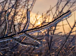 Auch am Mittwoch m&uuml;ssen sich die Menschen in Teilen Deutschlands auf winterliche Verh&auml;ltnisse mit Regen und Schnee einstellen. - &copy; Patrick Pleul/dpa