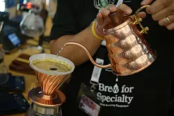 Ideal beim Pour-over-Verfahren sei der Wasserstrahl aus Schwanenhals-Wasserkochern, sagen Forscher. (Archivbild) - © picture alliance / dpa