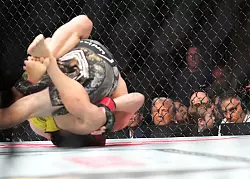 Nicht selten wird einer der UFC-K&auml;mpfer im Ring bewusstlos gepr&uuml;gelt. - &copy; Lynne Sladky/AP/dpa