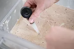 Der Ansatz muss immer wieder gef&uuml;ttert werden. - &copy; Marijan Murat/dpa