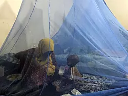 Die Kombination aus imprägnierten Netzen und Impfung scheint einer Studie zufolge besonders wirkungsvoll für den Schutz vor Malaria. (Illustration) - © Eva-Maria Krafczyk/dpa