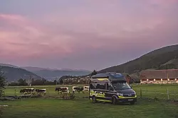 Ein Camper umgeben von Kühen: Je eine Nacht können Reisende mit «Landvergnügen» auf Höfen in Deutschland, Österreich und der Schweiz stehen. - © Markus Nass/Meissnitzerhof/Landvergnügen/dpa-tmn